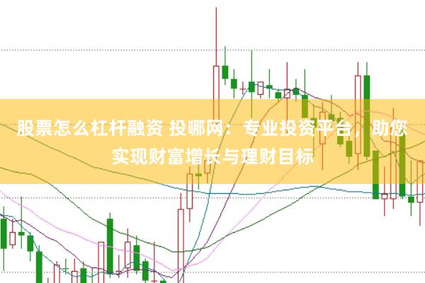 股票怎么杠杆融资 投哪网：专业投资平台，助您实现财富增长与理财目标