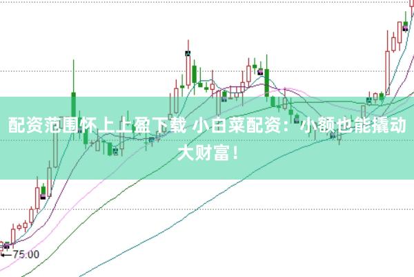 配资范围怀上上盈下载 小白菜配资：小额也能撬动大财富！