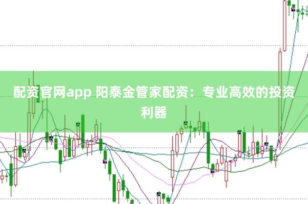 配资官网app 阳泰金管家配资：专业高效的投资利器