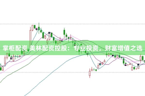 掌柜配资 美林配资控股：专业投资，财富增值之选