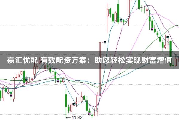 嘉汇优配 有效配资方案：助您轻松实现财富增值