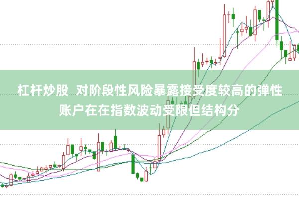 杠杆炒股  对阶段性风险暴露接受度较高的弹性账户在在指数波动受限但结构分