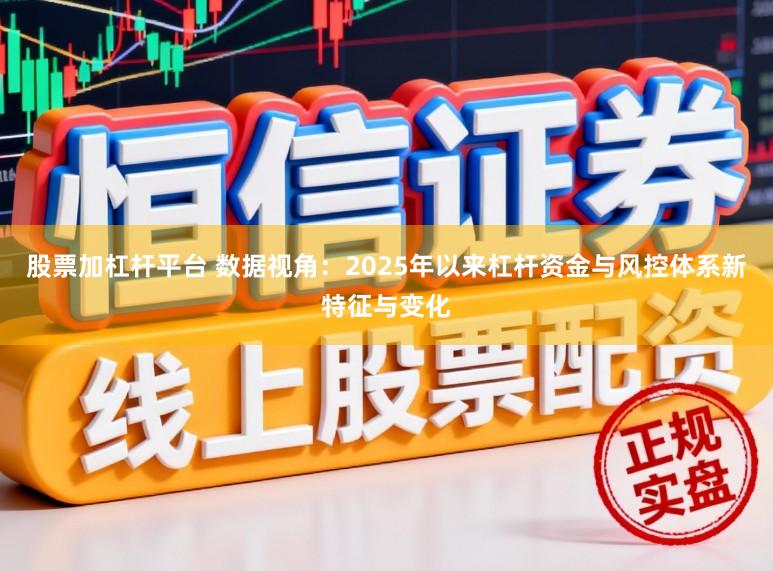 股票加杠杆平台 数据视角：2025年以来杠杆资金与风控体系新特征与变化