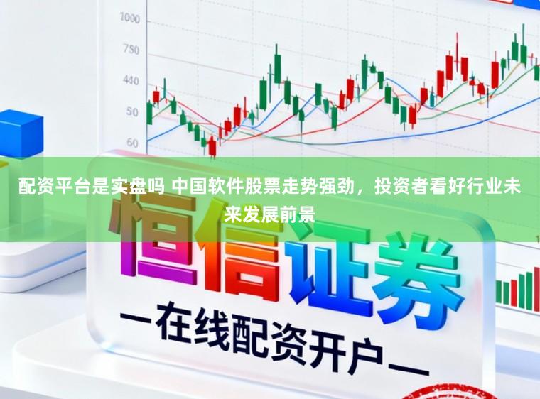 配资平台是实盘吗 中国软件股票走势强劲，投资者看好行业未来发展前景