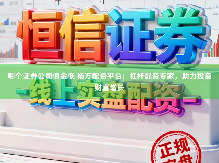 哪个证券公司佣金低 杨方配资平台：杠杆配资专家，助力投资财富增长
